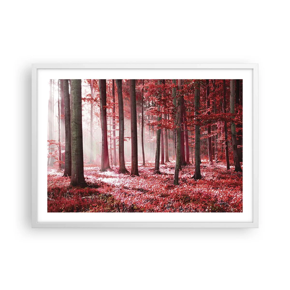 Poster in een witte lijst - Rood is net zo mooi - 70x50 cm