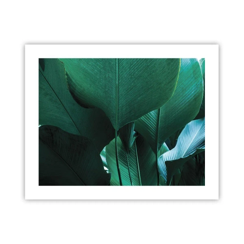 Poster - Naar het licht gekeerd - 50x40 cm