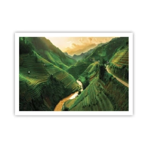Poster - Vietnamese vallei - 100x70 cm