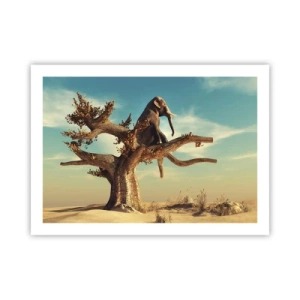 Poster - Een nieuw gezichtspunt - 70x50 cm