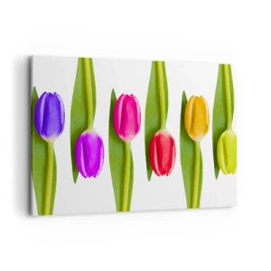 Schilderen op canvas - Regenboog compositie - 100x70 cm