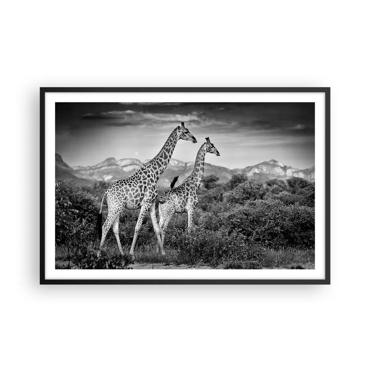 Poster in een zwarte lijst - Hoge sferen in Afrika - 91x61 cm
