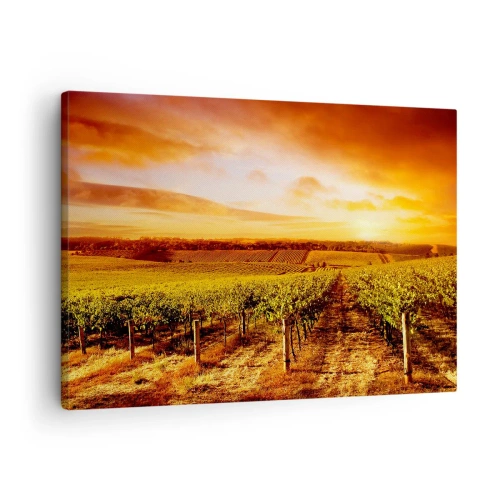 Schilderen op canvas - Wijngaard bij zonsondergang met warme luchttinten - 70x50cm - Licht fruitig met een vleugje zonneschijn - Moderne wanddecoratie voor woonkamer en slaapkamer ARTTOR