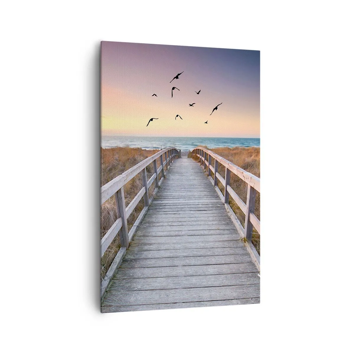 Schilderen op canvas - De ruimte voor opvliegen - 80x120 cm