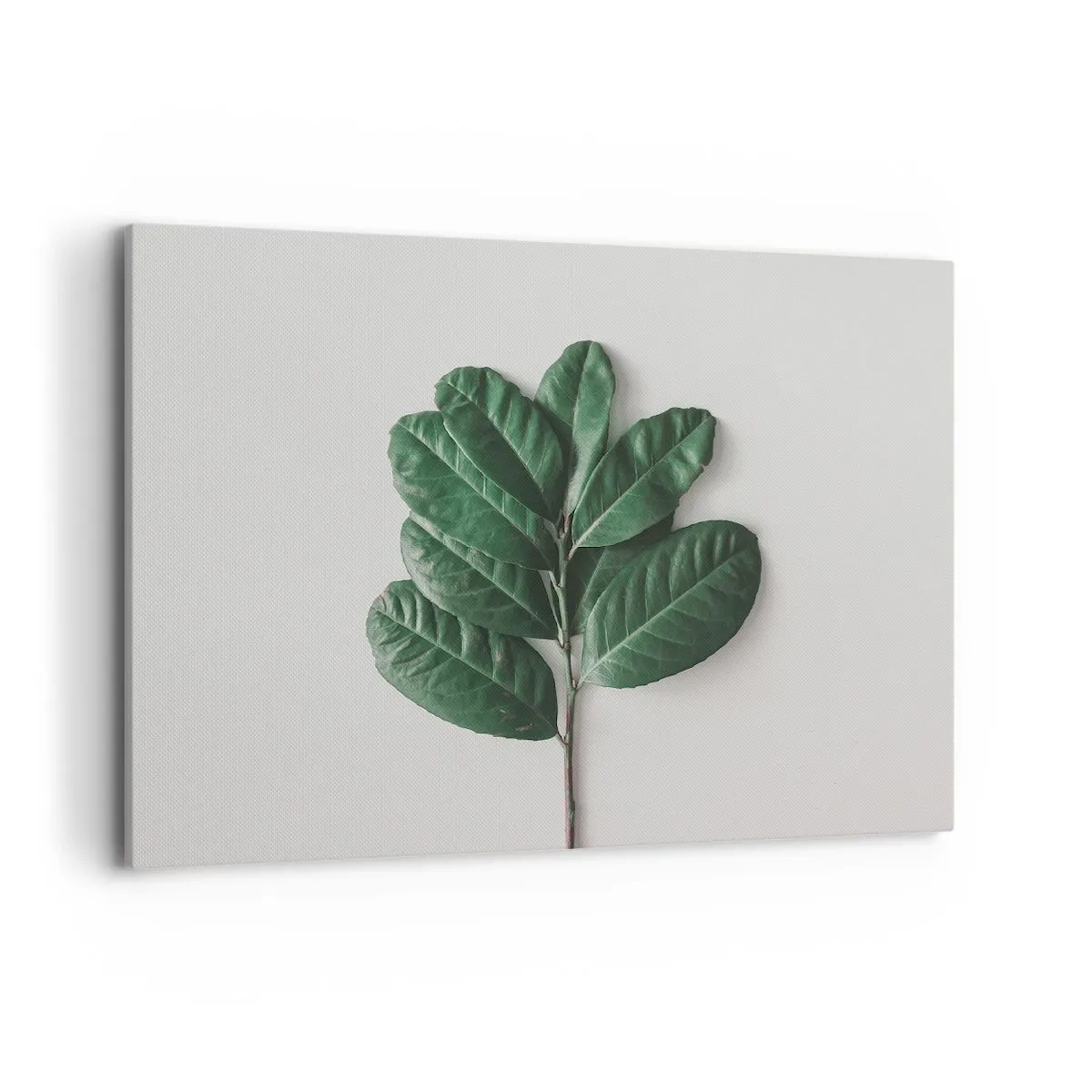 Schilderen op canvas - Een tekening van de pure natuur - 100x70 cm