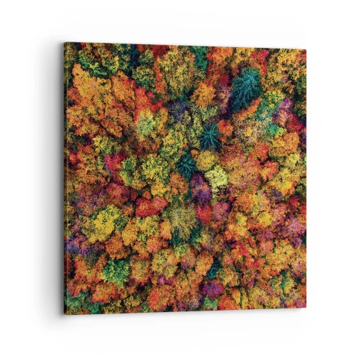 Schilderen op canvas - Boeket herfstbomen - 70x70 cm