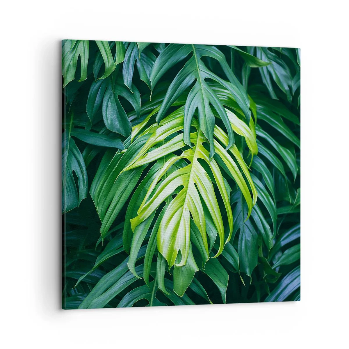 Schilderen op canvas - Dompel jezelf onder in de frisheid - 50x50 cm