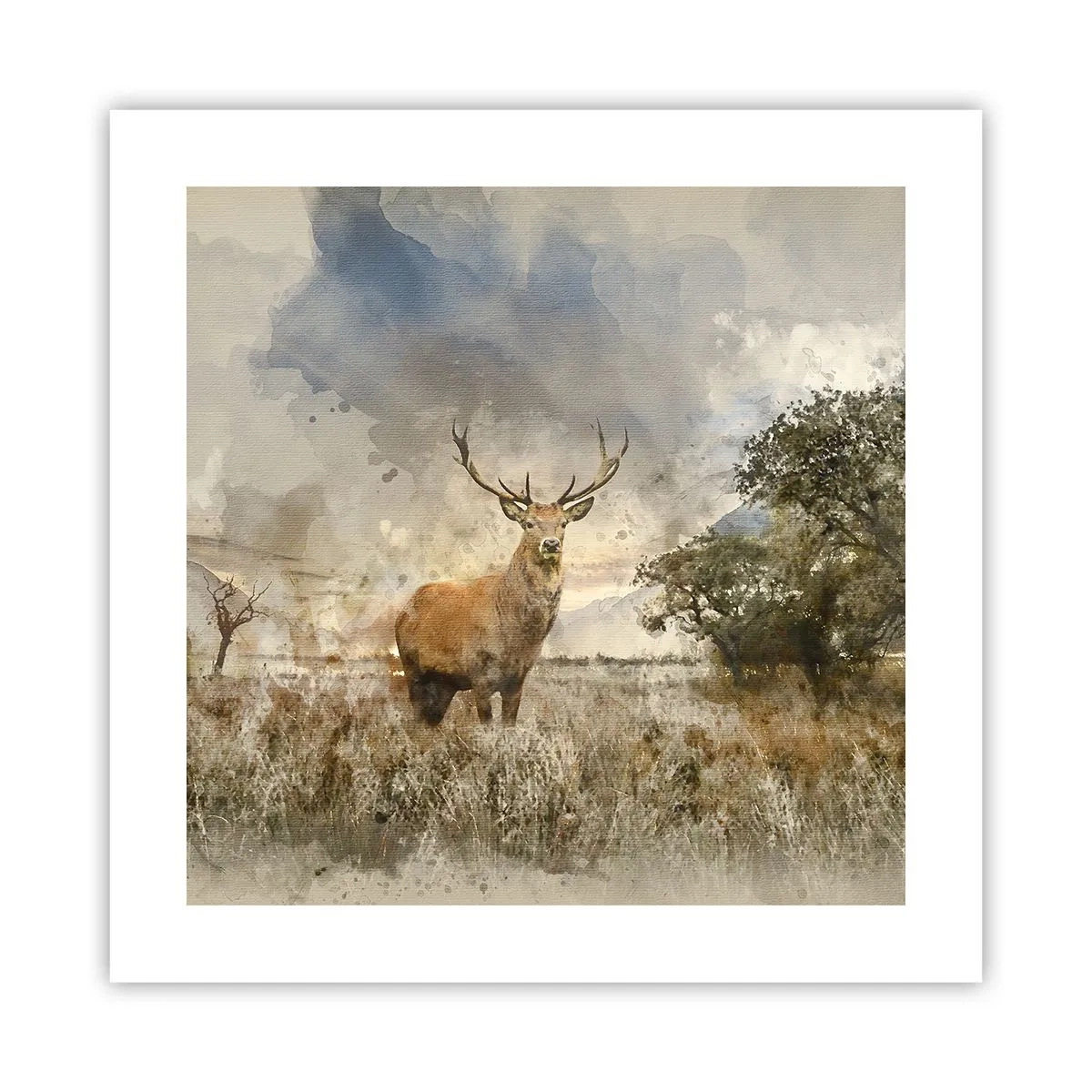 Poster - Waardigheid - kracht - waardigheid - 40x40 cm