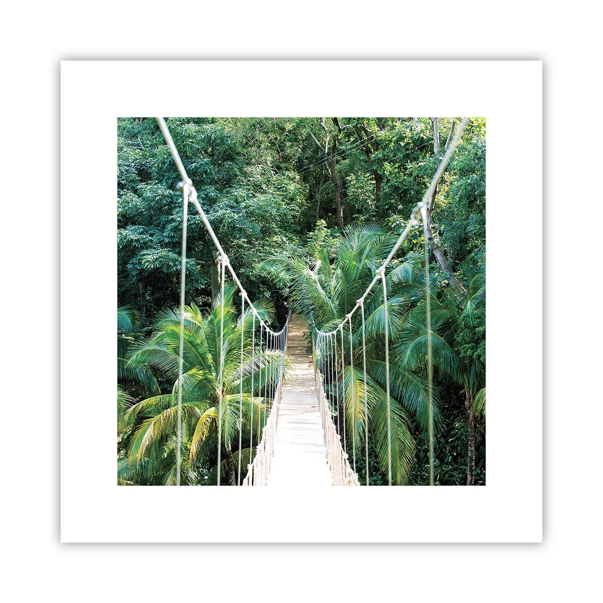 Poster - Welkom in de jungle! - 30x30 cm