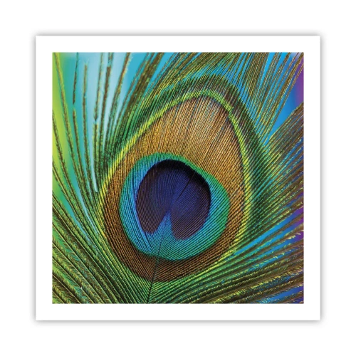 Poster - Oog in oog - 60x60 cm