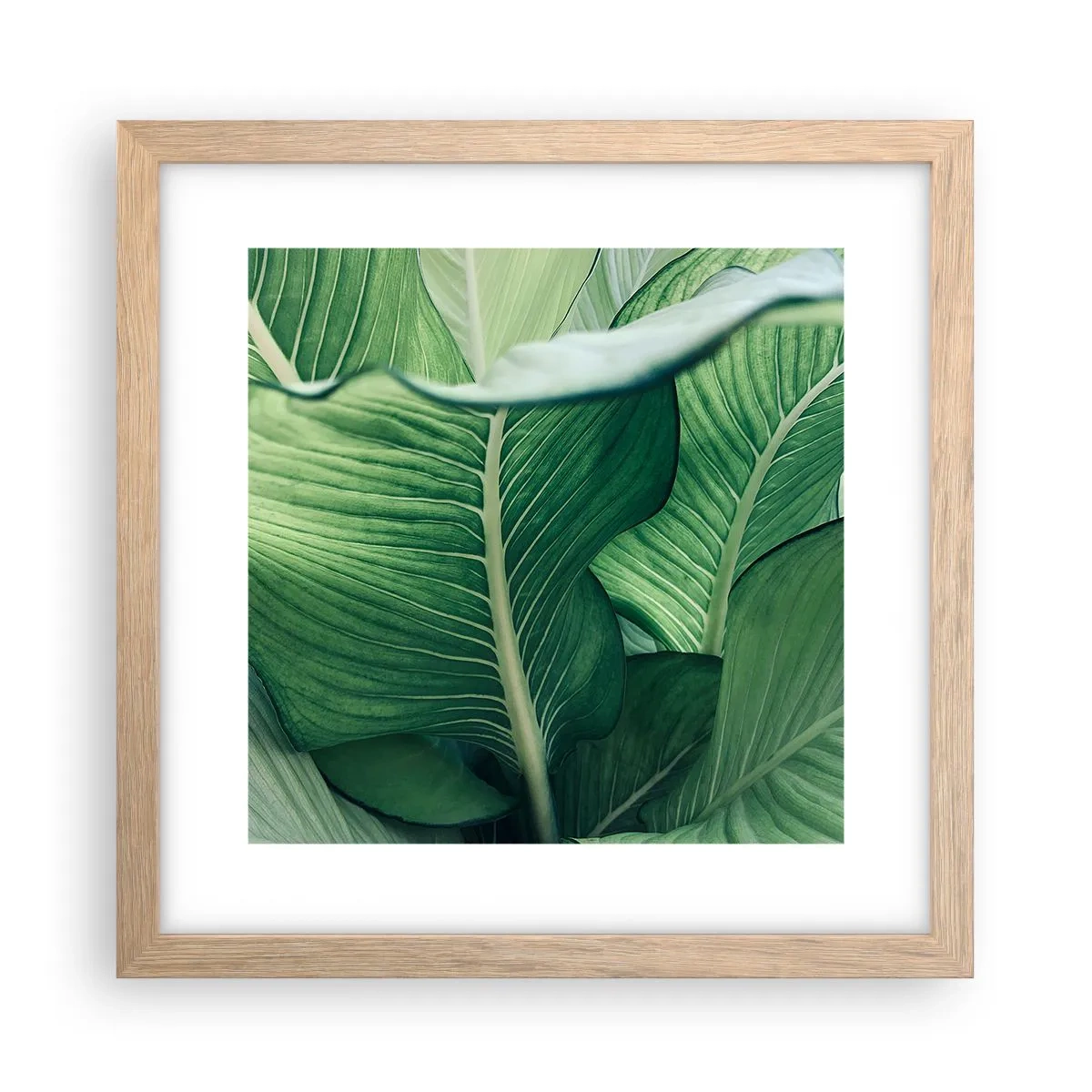 Een poster in een licht eiken lijst - Intens groen leven - 30x30 cm