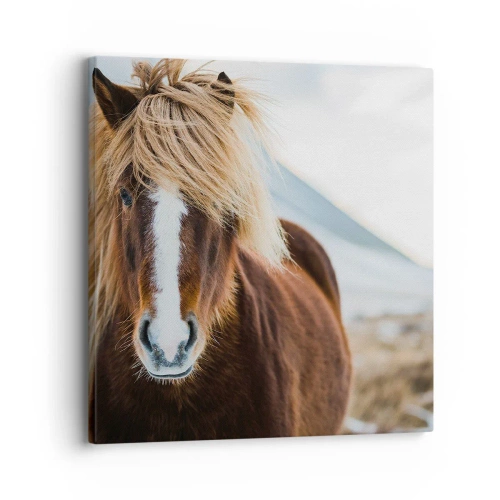 Schilderen op canvas - Voel jij je vrij? - 30x30 cm