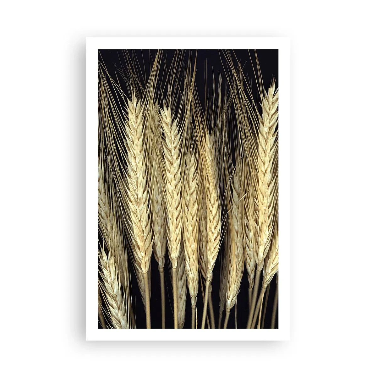 Poster - Rustieke magie - 61x91 cm