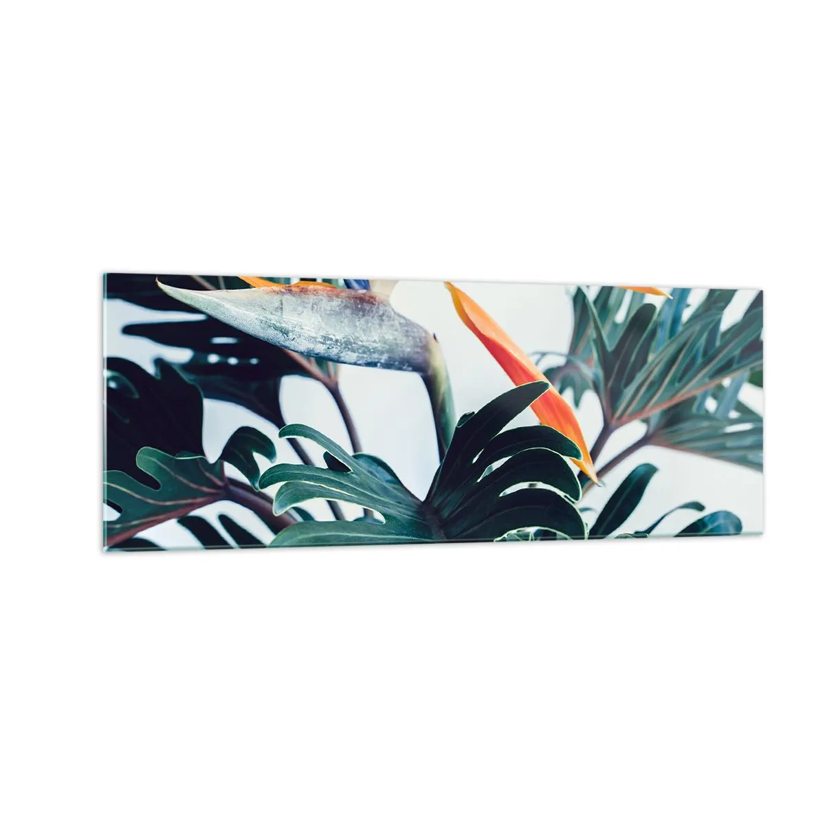 Schilderen op glas - Vogelstruik - 140x50 cm