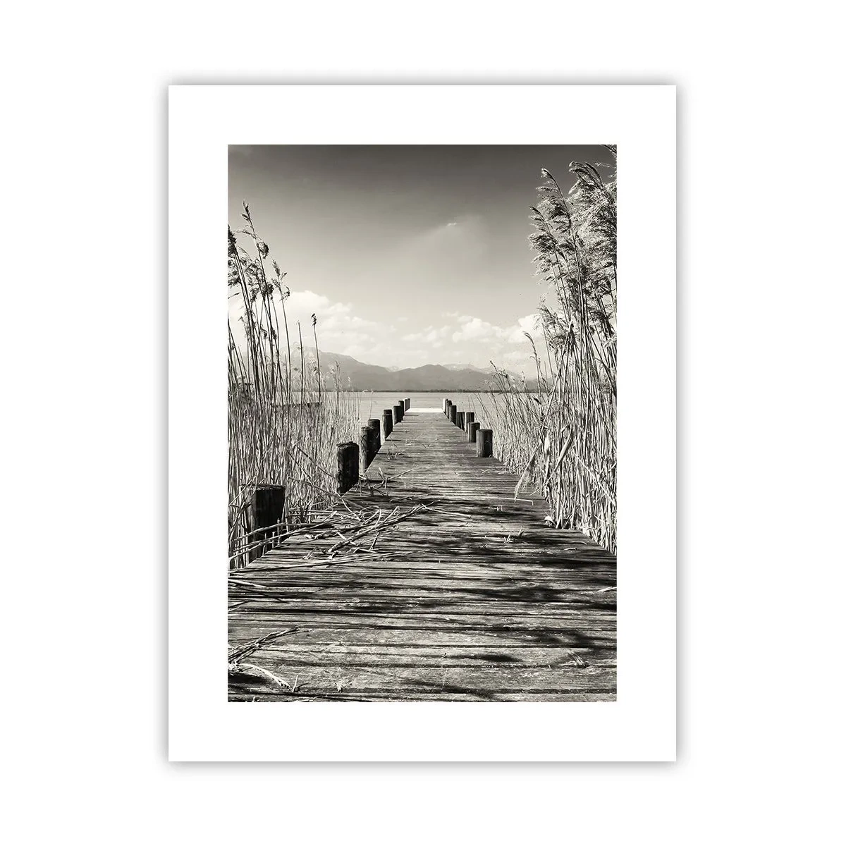 Poster - In de stilte van het gras - 30x40 cm