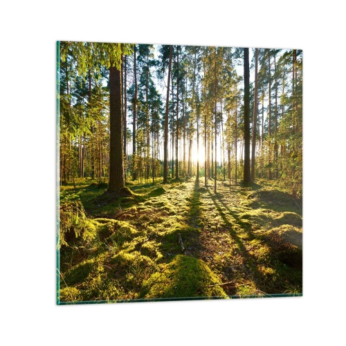 Schilderen op glas - … Achter de zeven bossen - 60x60 cm
