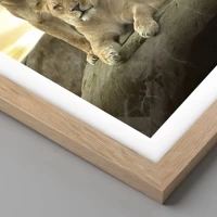 Licht eiken