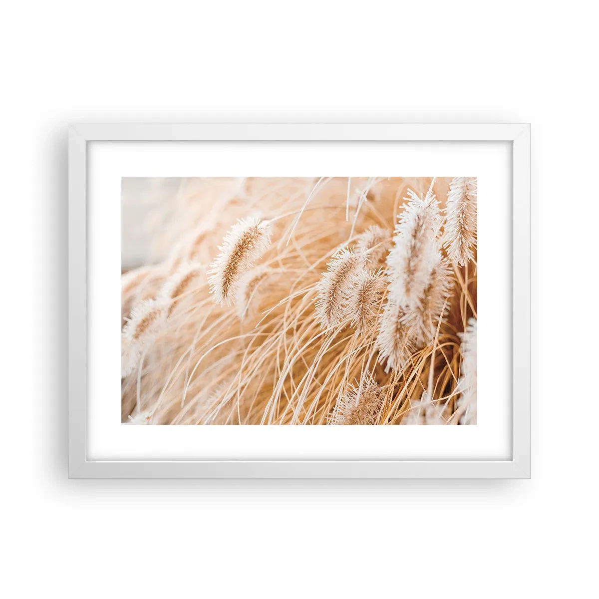 Poster in een witte lijst - Het gouden geritsel van het gras - 40x30 cm