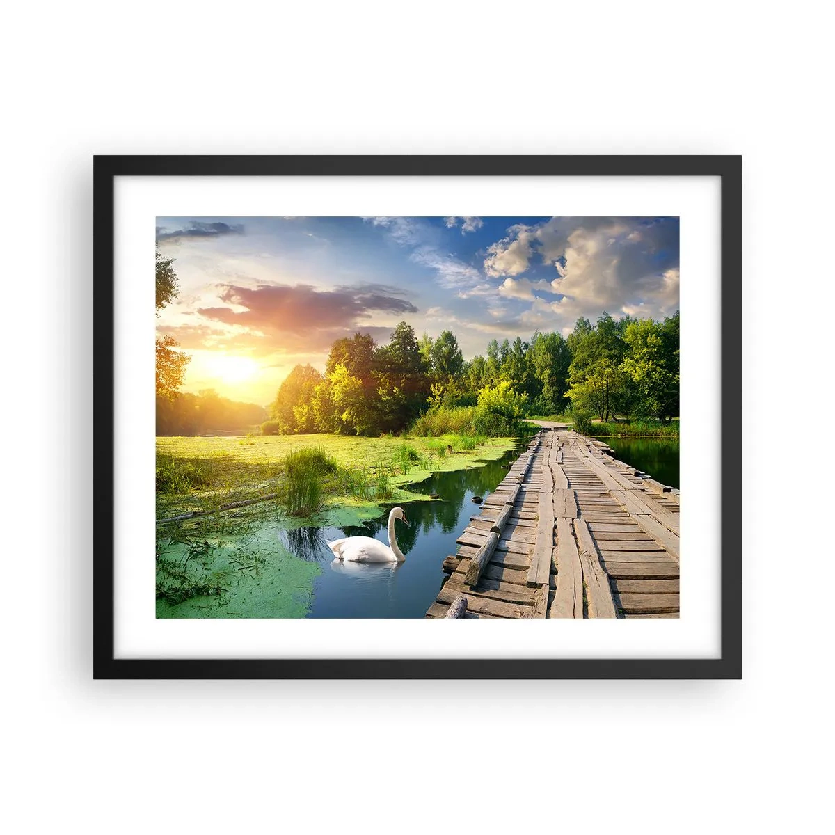 Poster in een zwarte lijst - Zomer, zomer overal - 50x40 cm