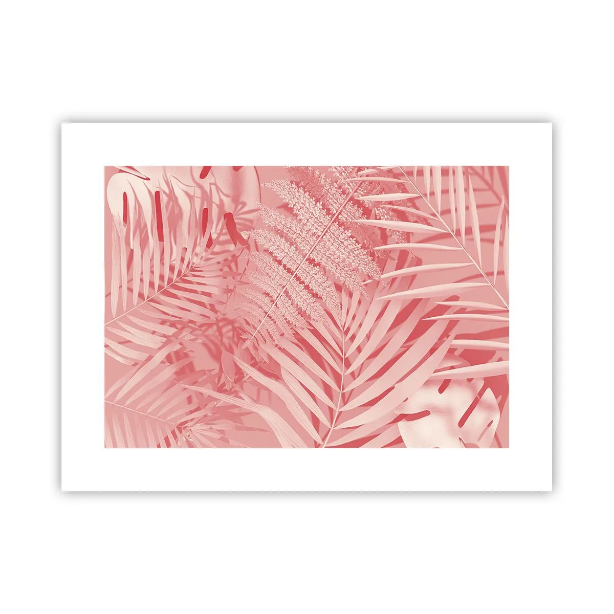 Poster - Roze concept - 40x30 cm