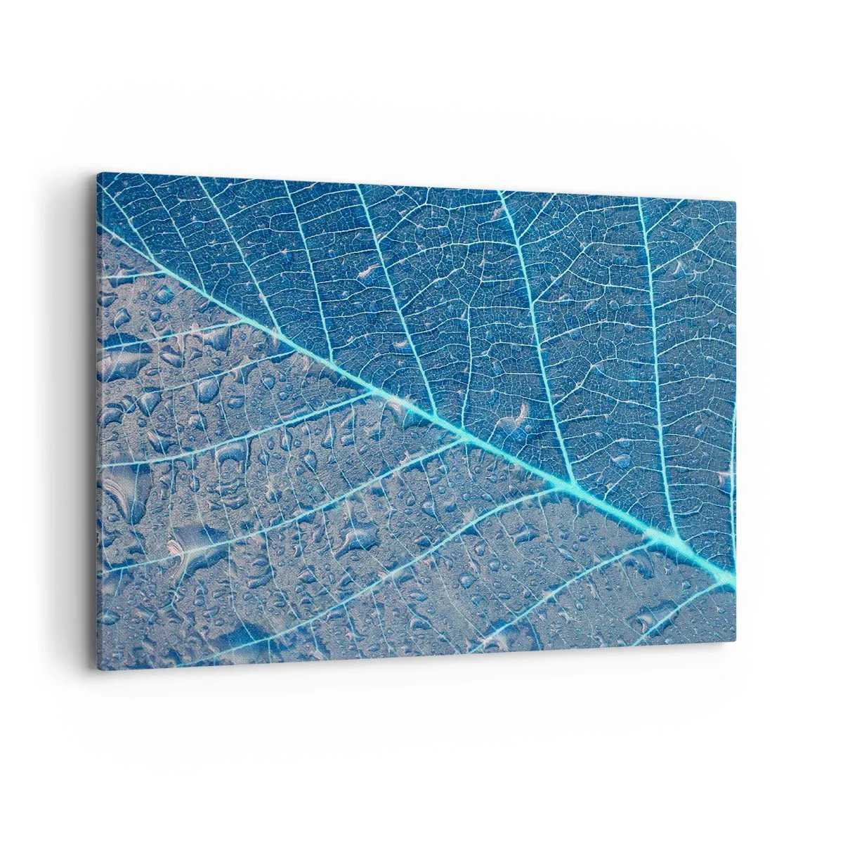 Schilderen op canvas - Leven in blauw - 100x70 cm