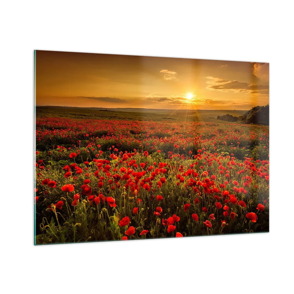 Schilderen op glas - Tussen de golven van ruisende weiden, tussen de bloemen van de vloed - 100x70 cm