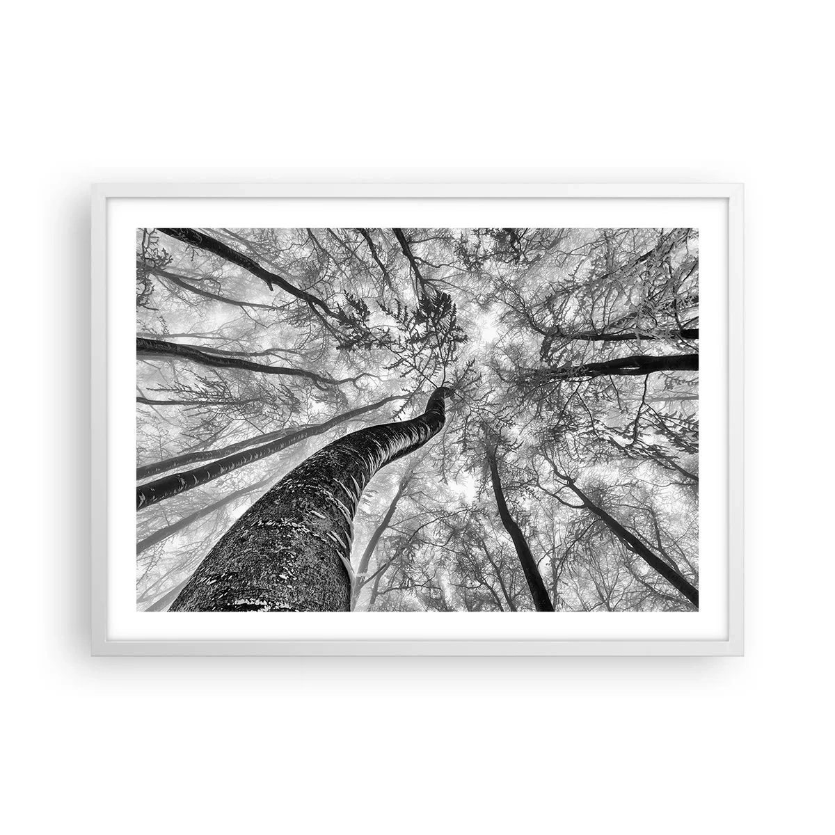 Poster in een witte lijst - Race naar het licht - 70x50 cm