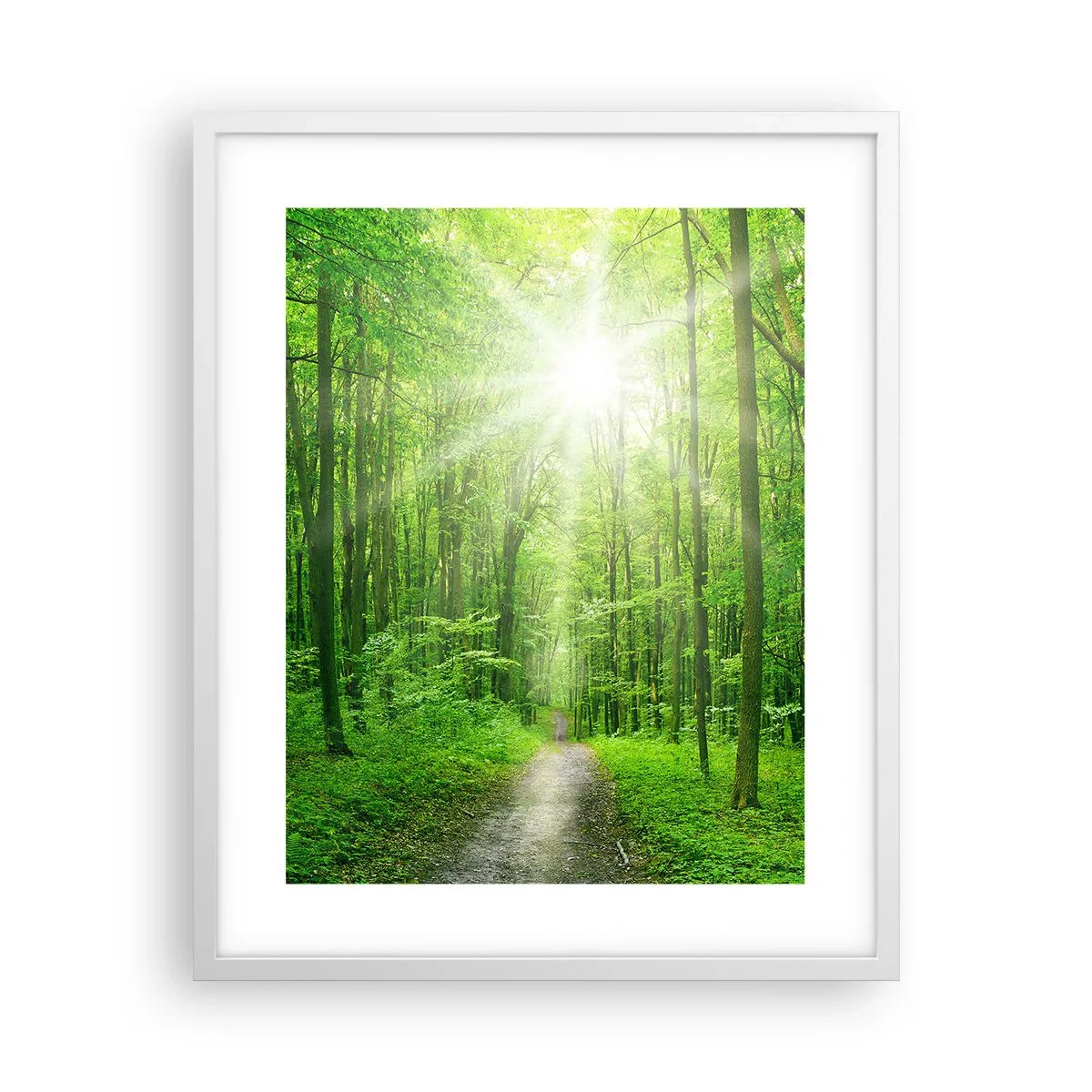 Poster in een witte lijst - De groene kathedraal - 40x50 cm