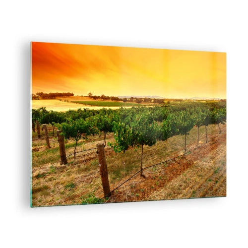 Schilderen op glas - Wijnranken in het warme licht van de ondergaande zon - 70x50cm - Neem een