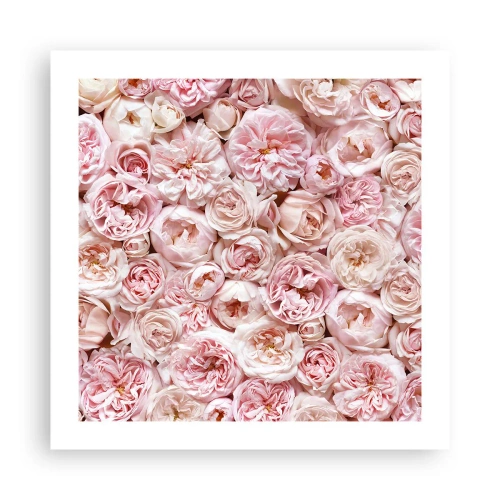 Poster - Een bed van rozen - 50x50 cm