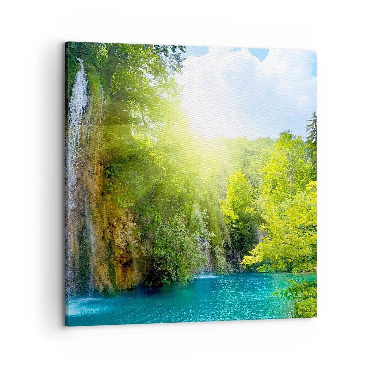 Schilderen op canvas - Het moet Eden zijn - 50x50 cm