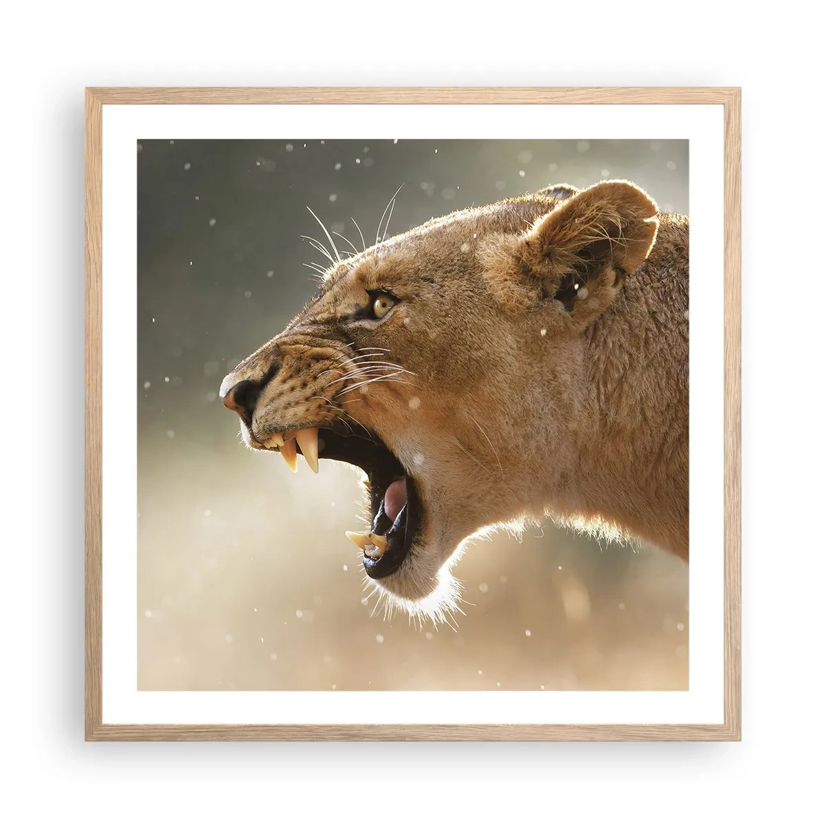 Een poster in een licht eiken lijst - Probeer niet te luisteren - 60x60 cm