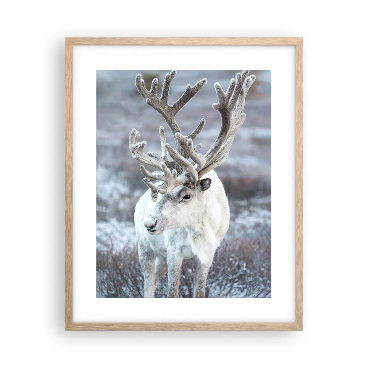 Een poster in een licht eiken lijst - Portret in de zon - 40x50 cm