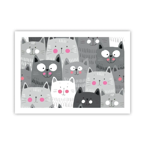 Poster - De wereld van de kat - 70x50 cm
