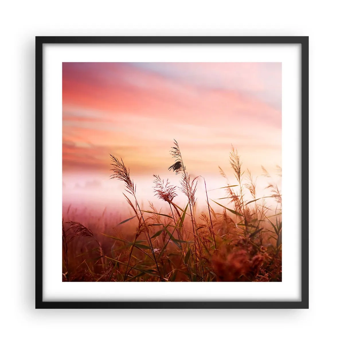 Poster in een zwarte lijst - Vliegers, paardebloemen, wind - 50x50 cm