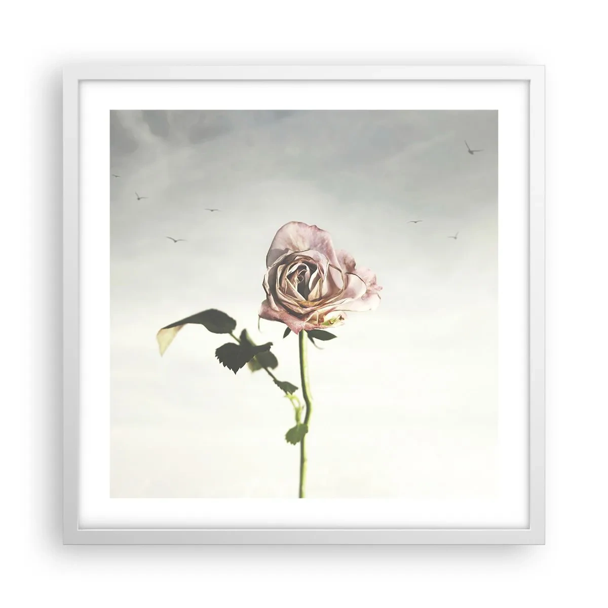 Poster in een witte lijst - Begroeting van de lente - 50x50 cm