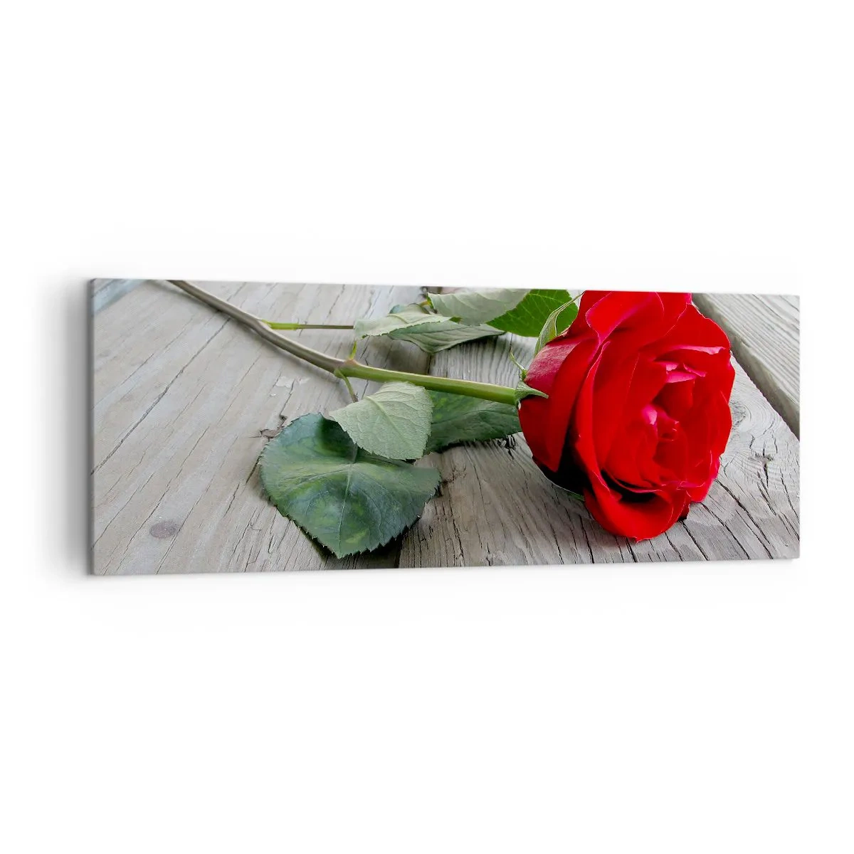 Schilderen op canvas - Een studie in scharlaken - 140x50 cm