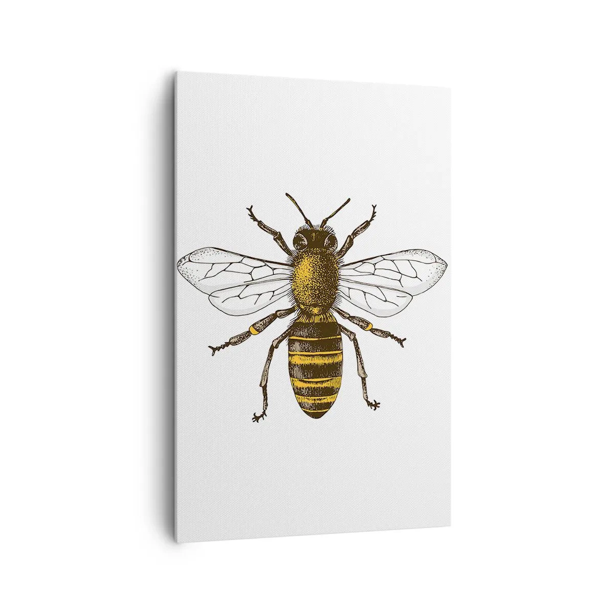 Schilderen op canvas - Mooi en goed - 80x120 cm