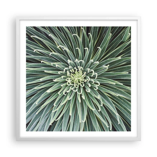Poster in een witte lijst - Een ster is geboren - 60x60 cm