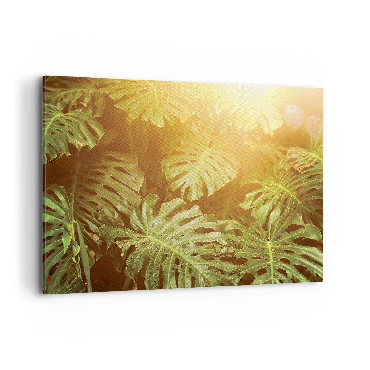 Schilderen op canvas - In het groen treden... - 100x70 cm