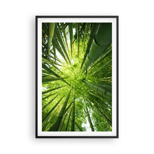 Poster in een zwarte lijst - In een bamboebos - 61x91 cm