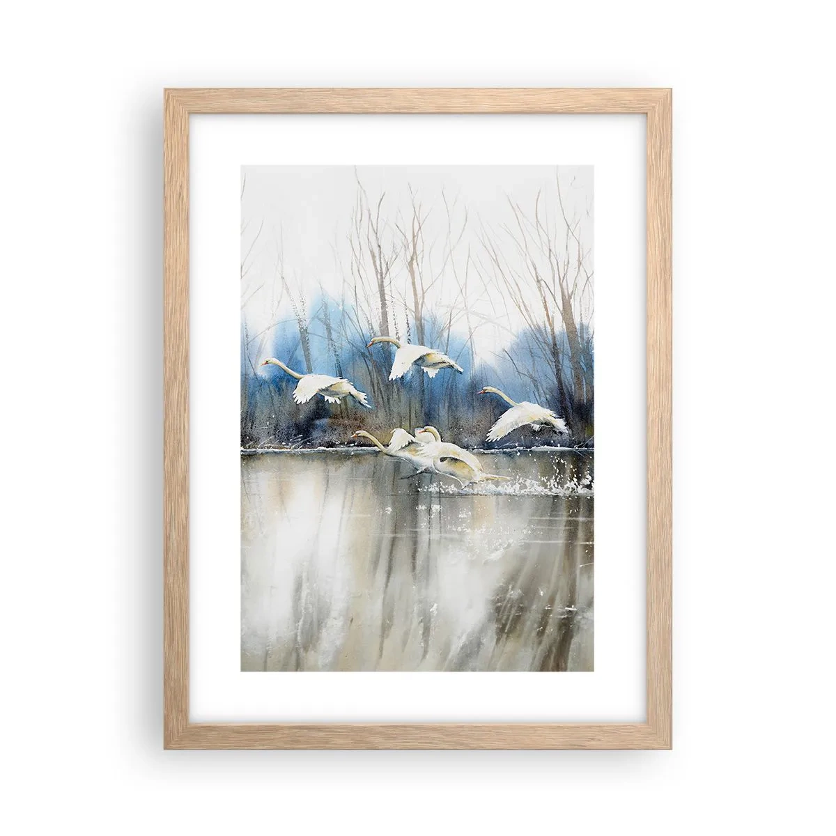 Een poster in een licht eiken lijst - Zoals in het sprookje over wilde zwanen - 30x40 cm