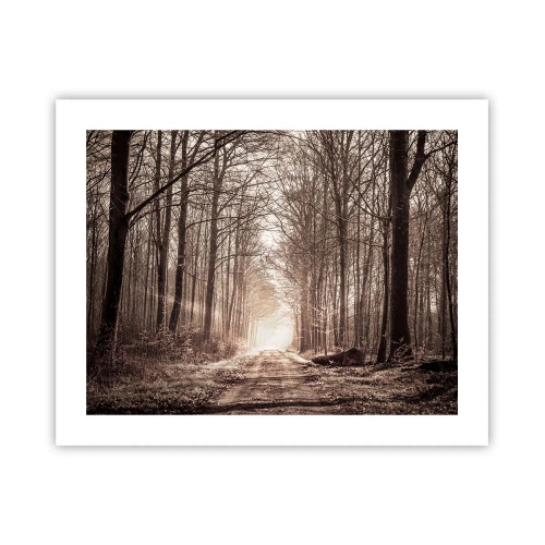 Poster - Boskathedraal - 50x40 cm