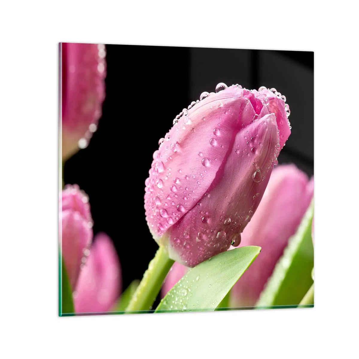 Schilderen op glas - Lila droom in dauw - 40x40 cm