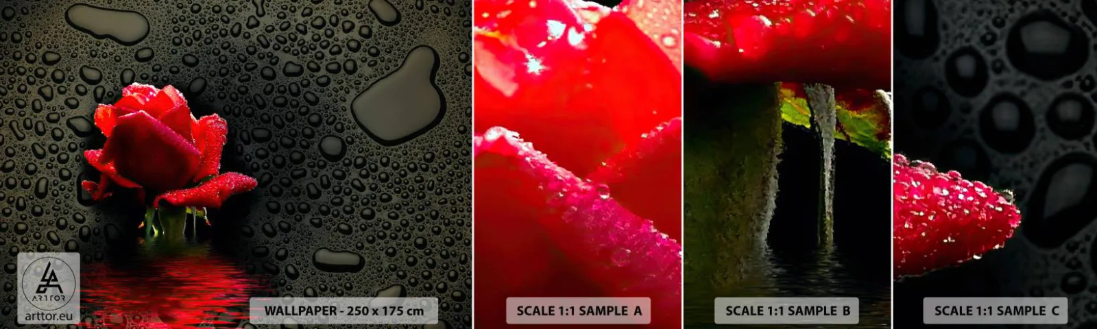 Fotobehang Staaltje Standard Eco - Rood en zwart - Bloemen, Roos, Water - 100x30 cm