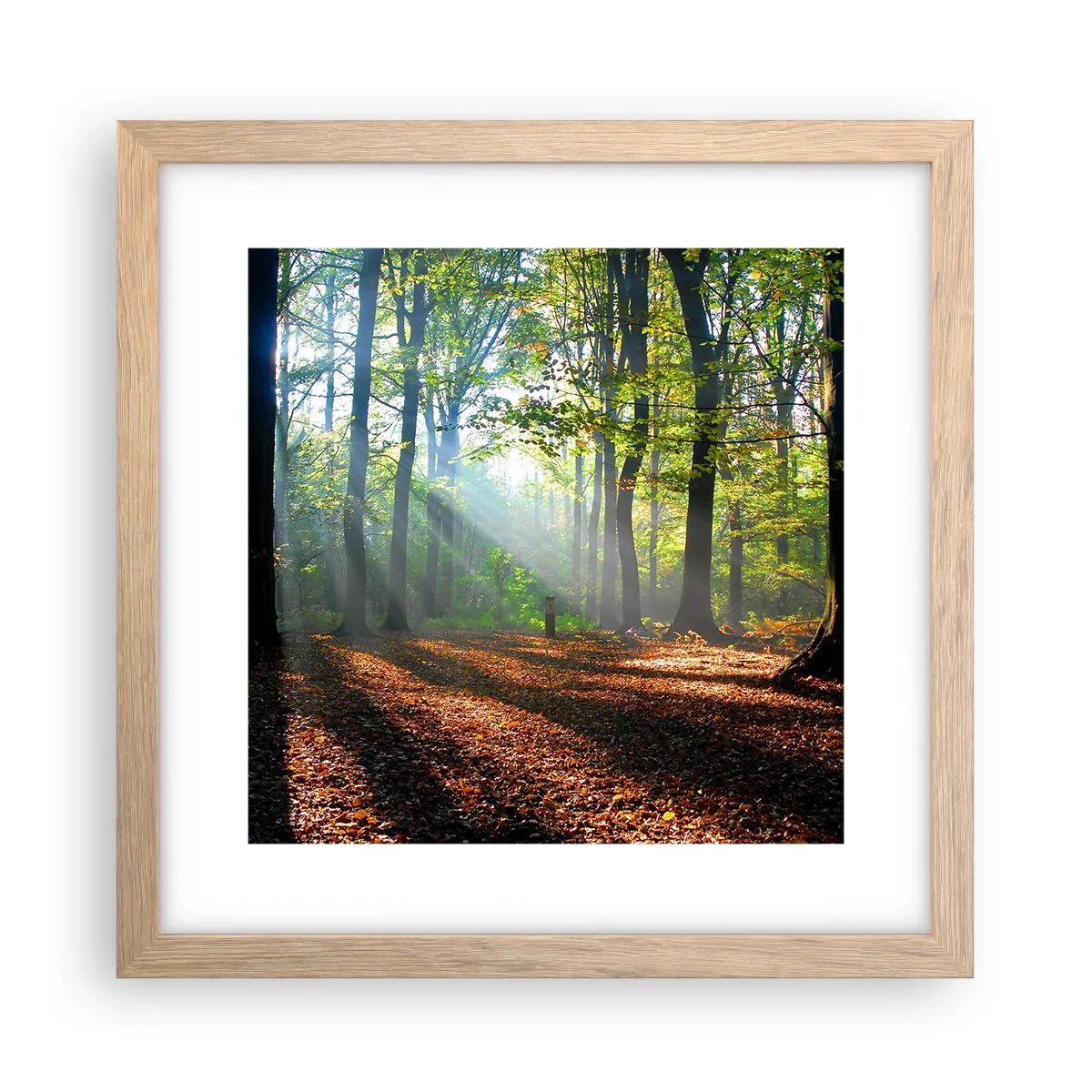 Een poster in een licht eiken lijst - Lichten en schaduwen - 30x30 cm