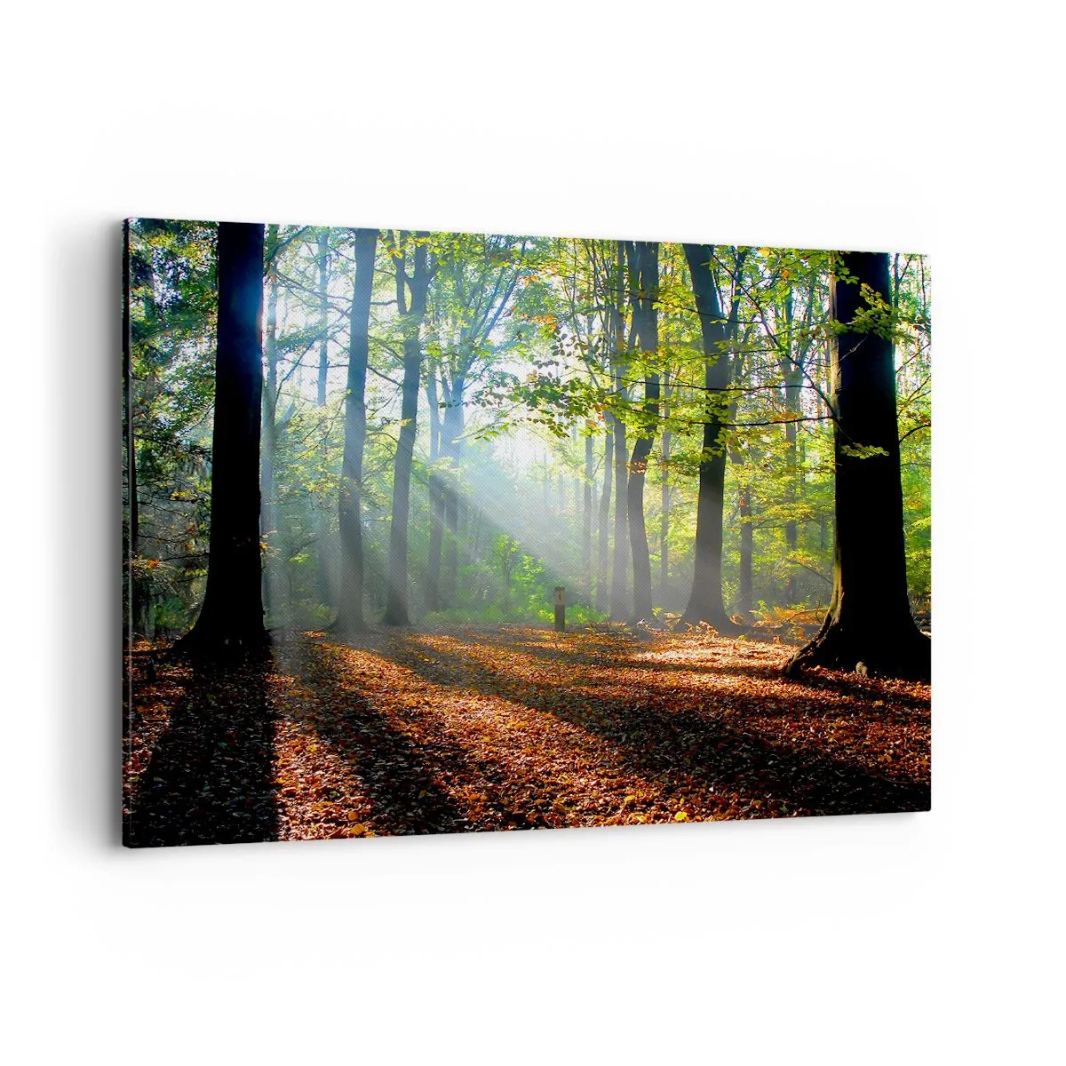 Schilderen op canvas - Lichten en schaduwen - 100x70 cm