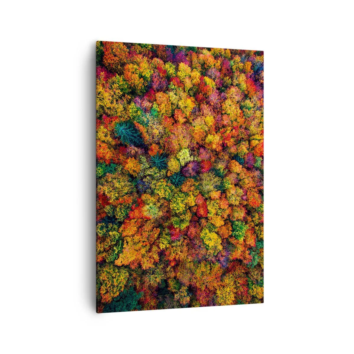 Schilderen op canvas - Boeket herfstbomen - 70x100 cm