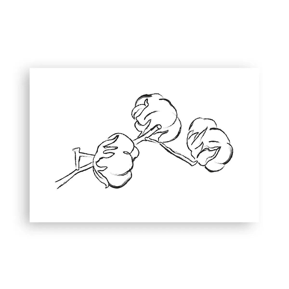 Poster - Katoen dons - 91x61 cm