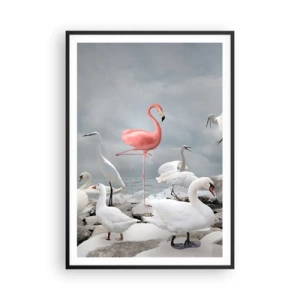 Poster in een zwarte lijst - Hoe ben ik hier terecht gekomen? - 70x100 cm